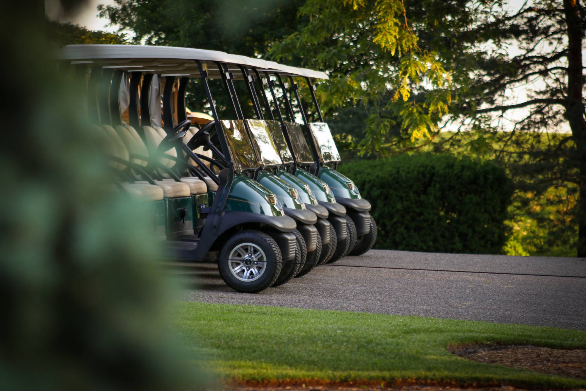 Golf Club Security